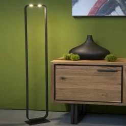 LED Stehleuchte Mika in Schwarz 2x8W 1200lm